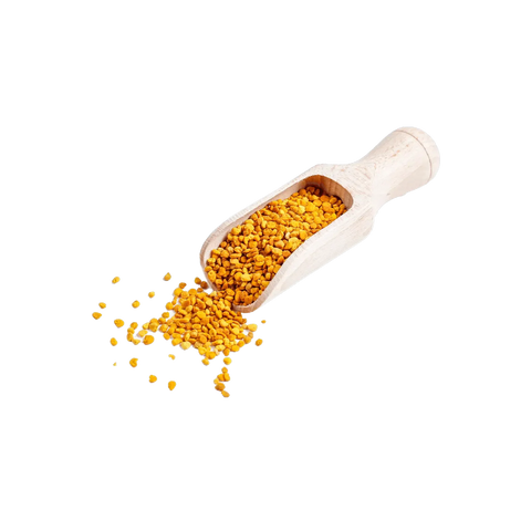 Blütenpollen aus der Imkerei in Holzschaufel, natürliches Bienenprodukt mit goldgelber Farbe, hochwertige Pollen als Naturprodukt